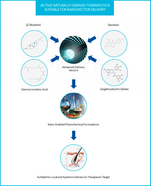 β-Cyclodextrin molecular diagram with botanical active encapsulated in central cavity
